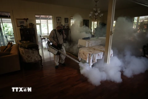 Nhân viên y tế phun thuốc diệt muỗi. (Ảnh: THX/TTXVN) 