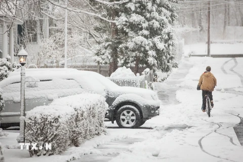 Tuyết phủ trắng xóa ở Greenwich, Connecticut, Mỹ. (Nguồn: AFP/TTXVN)
