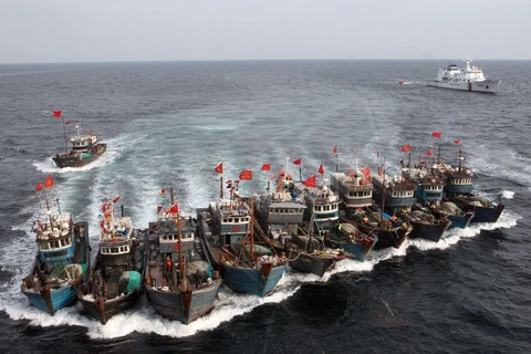 Các tàu đánh cá của Trung Quốc. (Nguồn: AFP)