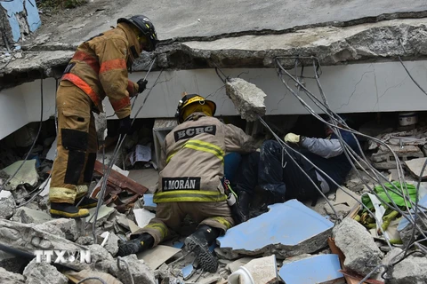 Lực lượng cứu hộ làm nhiệm vụ tại Gauyaquil sau động đất, ngày 17/4. (Nguồn: THX/ TTXVN)