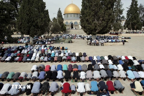 Các tín đồ Hồi giáo Palestine cầu nguyện tại đền Al-Aqsa ngày 23/10. (Nguồn: AFP/TTXVN)