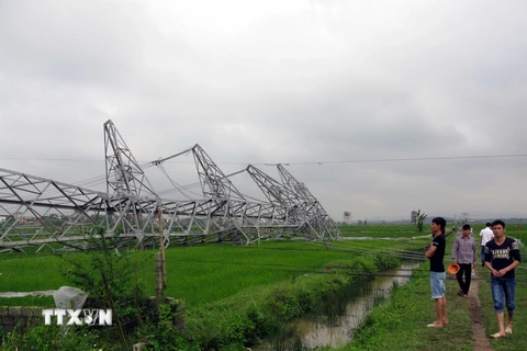 Cột điện trên đường dây 500 kV Quảng Ninh-Hiệp Hòa bị đổ. (Ảnh: Việt Hùng/TTXVN)