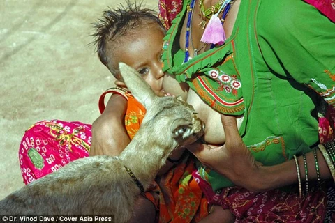 Một em bé cùng con hươu non cùng nhau bú sữa từ người mẹ. (Nguồn: dailymail.com)