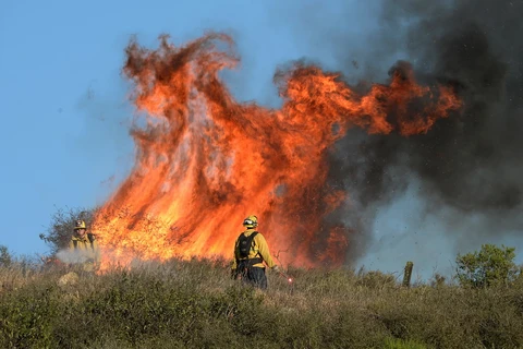 Lực lượng chữa cháy cố gắng dập tắt đám cháy đang lan nhanh. (Nguồn: Getty Images)
