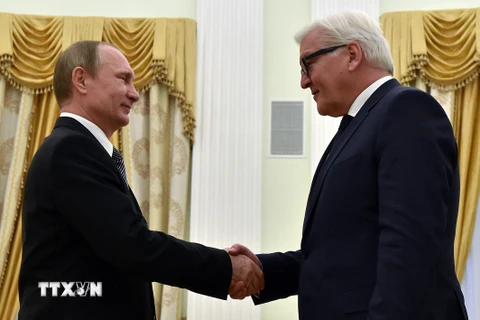 Tổng thống Nga Vladimir Putin tiếp Ngoại trưởng Đức Frank-Walter Steinmeier. (Nguồn: AFP/TTXVN)