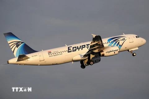 Máy bay Airbus A320 của Hãng EgyptAir tại sân bay Istanbul, Thổ Nhĩ Kỳ. (Nguồn: EPA/TTXVN)
