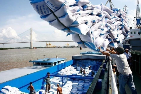 Hiệp hội Lương thực Việt Nam kiến nghị ưu tiên thông qua xuất khẩu với lượng gạo đã tập kết tại cảng. (Ảnh: TTXVN)