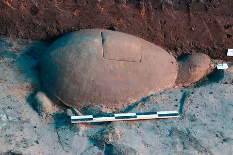 Rùa đá có kích thước 56x93 cm được cho là có từ thế kỷ thứ 10. (Nguồn: AP)
