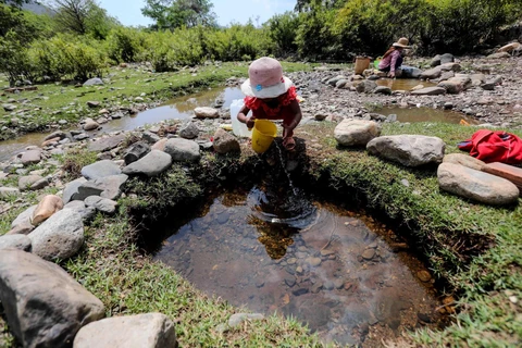 Người dân thôn Tà Nôi, huyện Ninh Sơn lấy nước từ những dòng suối còn chút ít để sinh hoạt do hạn hán kéo dài. (Ảnh: TTXVN)