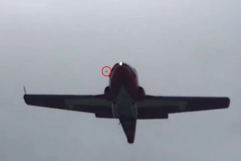 Một con chim có thể là nguyên nhân vụ rơi máy bay biểu diễn của Không quân Canada. (Nguồn: theglobeandmail.com)