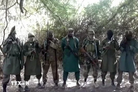 Phiến quân Boko Haram sát hại ít nhất 10 dân thường ở vùng Hồ Chad
