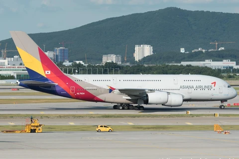 Máy bay của hãng hàng không Asiana Airlines. (Nguồn: AirlineGeeks)