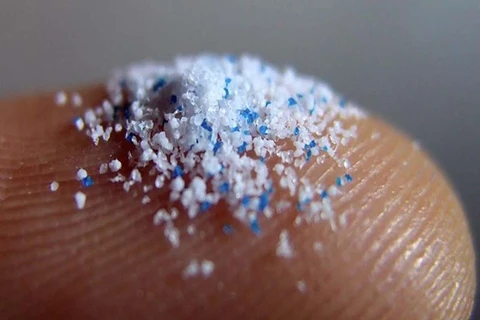 [Video] Lần đầu tiên phát hiện hạt vi nhựa trong nội tạng người