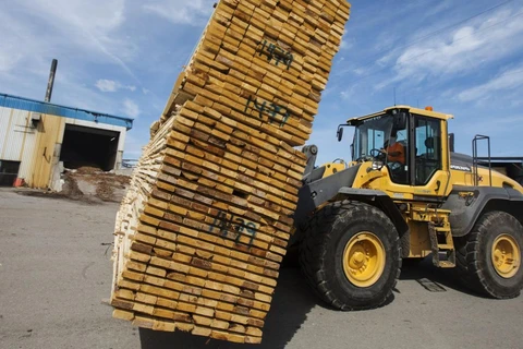 Mỹ áp thuế nhập khẩu 18% đối với mặt hàng gỗ xây dựng nhập khẩu từ Canada. (Nguồn: Bloomberg)