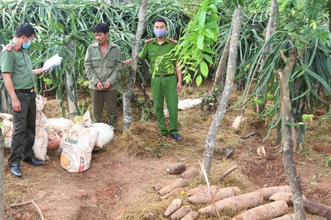 Quảng Bình: Khởi tố vụ mua bán, tàng trữ trái phép hơn 450 kg thuốc nổ
