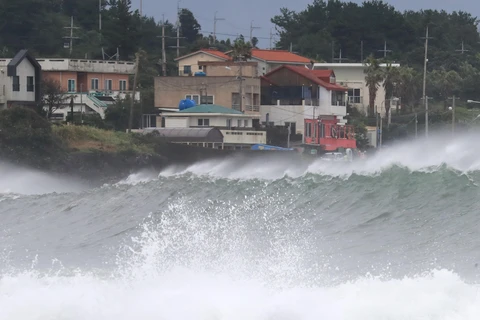 Sóng lớn xô vào bờ biển tại thành phố Seogwipo, đảo Jeju, Hàn Quốc, do ảnh hưởng của bão Haishen ngày 6/9/2020. (Ảnh: Yonhap/TTXVN)