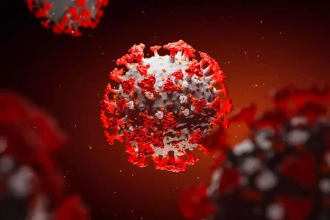 [Video] Virus SARS-CoV-2 có thể tấn công trực tiếp vào não người