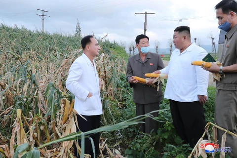 Nhà lãnh đạo Triều Tiên Kim Jong-un (thứ 2, phải) thăm khu vực bị ảnh hưởng do bão tại tỉnh Nam Hwanghae, Triều Tiên. (Ảnh: Yonhap/TTXVN)