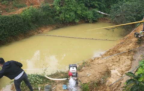 Lâm Đồng: Ba học sinh cấp 1 rơi xuống hồ nước tưới càphê tử vong