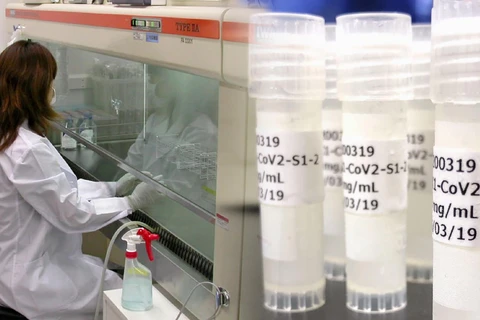 Nhà nghiên cứu làm việc tại phòng nghiên cứu phát triển vắcxin phòng COVID-19 của AnGes, Nhật Bản. (Nguồn: Kyodo)