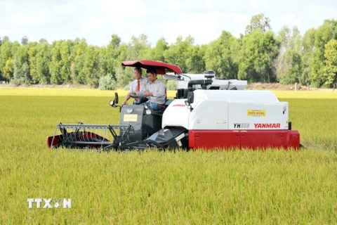 Viện Tầm nhìn châu Á đề xuất thành lập Hiệp hội lúa gạo khu vực ACMECS
