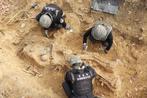 Khai quật hài cốt các binh sỹ thiệt mạng trong Chiến tranh Triều Tiên (1950-1953) tại Cheorwon, Khu phi quân sự liên Triều, ngày 10/4/2020. (Ảnh: Yonhap/TTXVN)