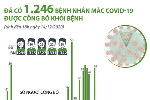 [Infographics] 1.246 bệnh nhân mắc COVID-19 được công bố khỏi bệnh