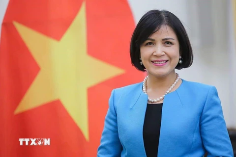 Việt Nam thúc đẩy ASEAN tham gia tích cực tại các tổ chức quốc tế