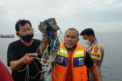 Người dùng mạng xã hội Twitter đang chia sẻ về vật được cho là mảnh vỡ máy bay của hãng Sriwijaya Air. (Nguồn: Twitter)