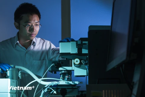 Australia tài trợ Tiến sỹ người Việt phát triển công nghệ pin Mặt Trời