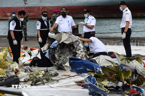 Indonesia sẽ công bố báo cáo sơ bộ về vụ tai nạn máy bay vào tháng 2