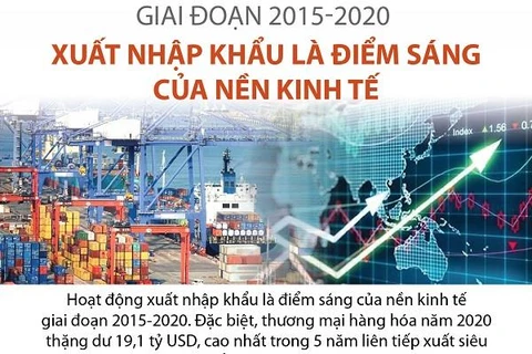 Giai đoạn 2015-2020: Xuất nhập khẩu là điểm sáng của nền kinh tế