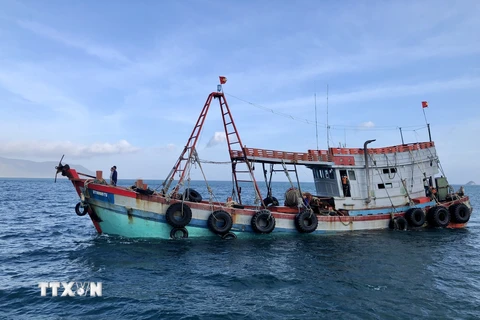 Cà Mau: Cứu nạn thành công tàu cá bị chìm cùng 7 thuyền viên