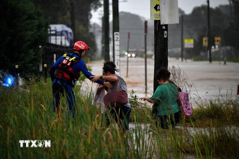 Hàng trăm người dân Australia sơ tán khẩn cấp do mưa lũ nghiêm trọng