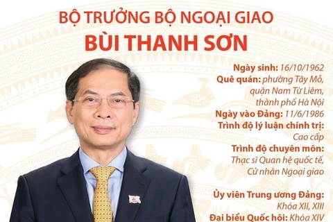 [Infographics] Tiểu sử Bộ trưởng Bộ Ngoại giao Bùi Thanh Sơn