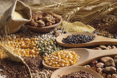 Tổ chức FAO: Giá lương thực toàn cầu tăng tháng thứ 10 liên tiếp