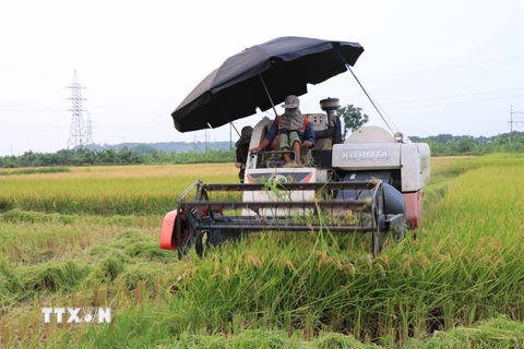 Trang prnewswire: Việt Nam nâng cao mức độ cơ giới hóa nông nghiệp