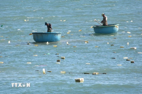 Quảng Ngãi: Một ngư dân mất tích khi đang câu mực trên biển