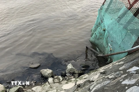 Ninh Bình: Dầu thải đe dọa nguồn nước sạch của 12.000 hộ dân