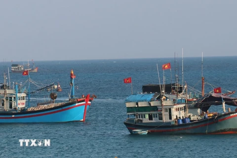 Bạc Liêu phát triển đội tàu đánh bắt xa bờ, khai thác kinh tế biển