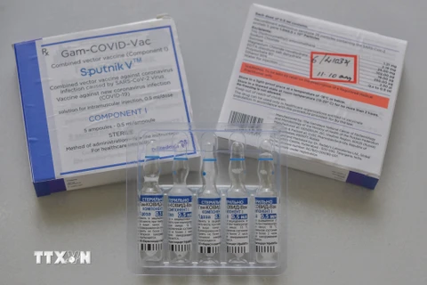 Nga khẳng định vaccine Sputnik V đạt hiệu quả 83% phòng biến thể Delta