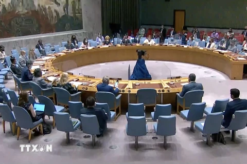 Toàn thể phiên họp của Hội đồng Bảo an Liên hợp quốc. (Ảnh: TTXVN)