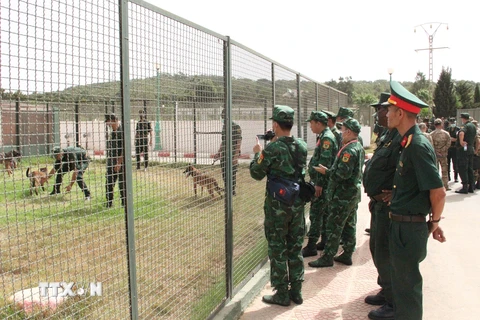 Đoàn Army Games Việt Nam trao đổi kinh nghiệm đào tạo chó nghiệp vụ