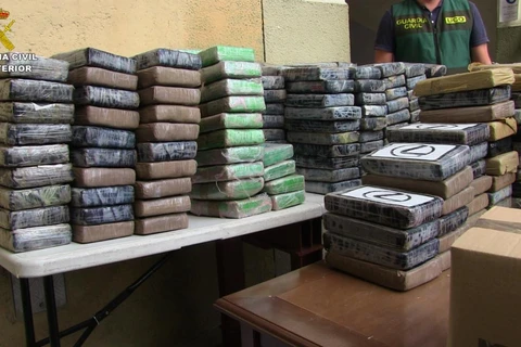 Europol: Bỉ và Hà Lan là trung tâm buôn lậu cocaine lớn vào châu Âu
