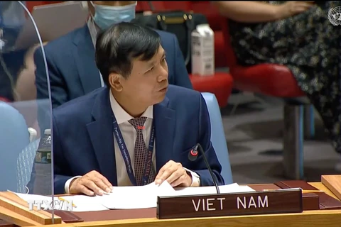 Việt Nam đề cao tiến trình chuyển tiếp phù hợp với từng quốc gia