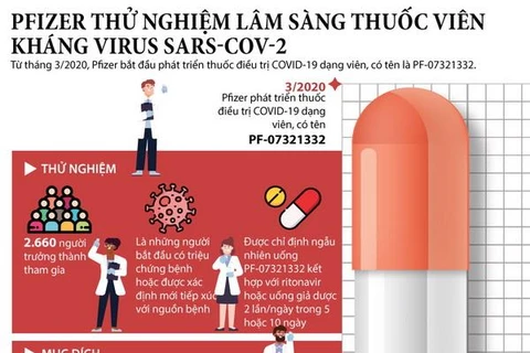 [Infographics] Pfizer thử nghiệm lâm sàng thuốc viên kháng SARS-CoV-2