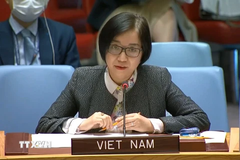 Việt Nam kêu gọi thực hiện luật nhân đạo quốc tế tại Ethiopia