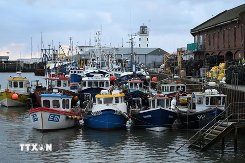 Khúc mắc trong quan hệ Pháp-Anh liên quan tới quyền đánh cá