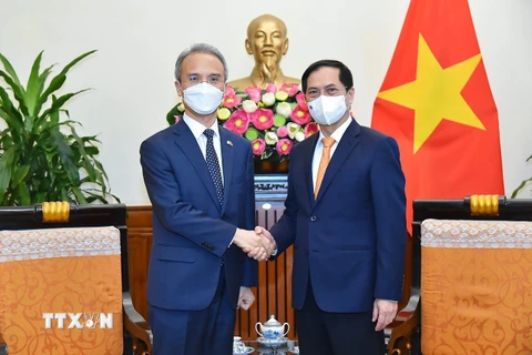 Tăng cường hợp tác toàn diện và nâng cao hiểu biết Việt Nam-Hàn Quốc