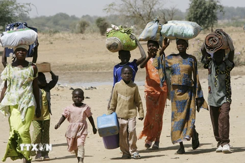 Hàng nghìn người Cameroon tràn sang Cộng hòa Chad tránh xung đột